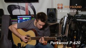 Красивые гитары с футляром Parkwood P620 P660 P670 сравнение и обзор