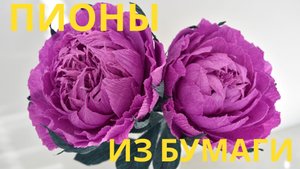 Пионы из гофрированной бумаги своими руками. Твори со мной.