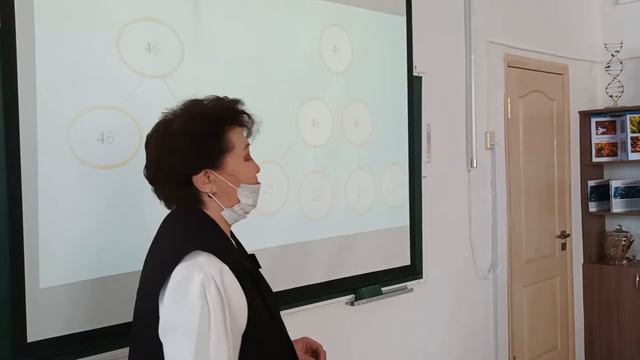 Митоз және мейоз, олардың биологиялық маңызы смотреть онлайн