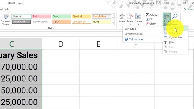 How to sort data in Excel? | Excel Sinhala Tutorials - 29