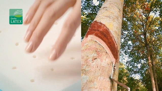 Ортопедический беспружинный матрас для детей Plitex Eco Lat. смотреть онлайн