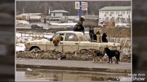 Заброшенные автомобили городов России 2