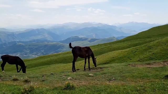 Село Гуниб .Гунибский район. Дагестан