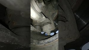 Скрипит в колесе при езде и повороте руля (Passat B5)