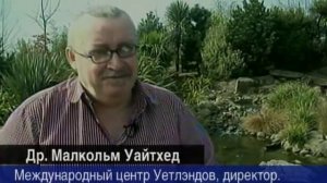 Глубинные тайны Черного моря (2007)