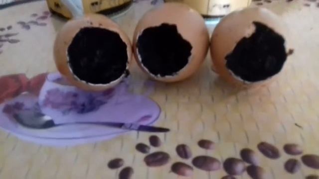 ДЕЛАЮ ТРАВЯНЧИКА В ЯЙЦАХ смотреть онлайн