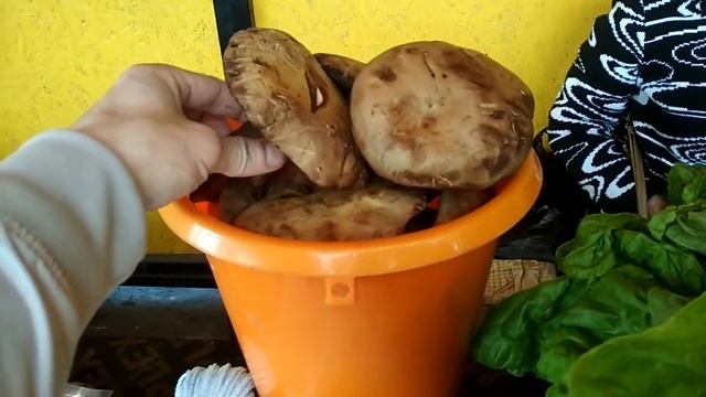 Рынок домашней продукции. Сахалин. Углегорск.