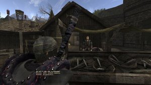 Gothic 2 Готика 2 Хальворд особенная рыба и вонючая записка