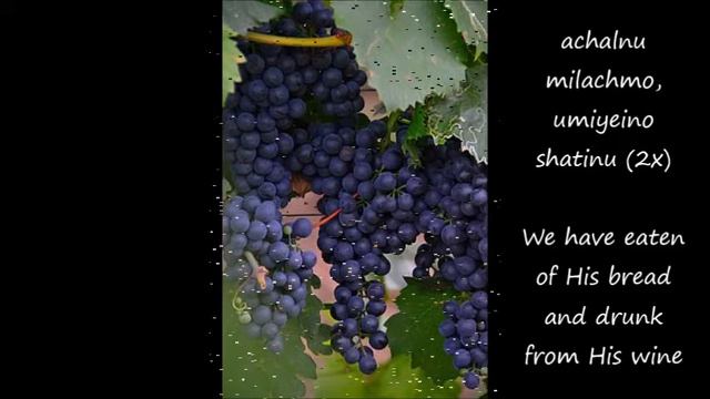 Tzur mishelo achalnu, piano and flute смотреть онлайн