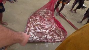 Удачная рыбалка в Индийском океане