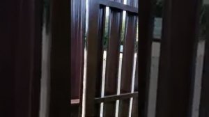 Аккуратный, недорогой, красивый  забор из евроштакетника в Саратове. СОВЕРСТРОЙ.