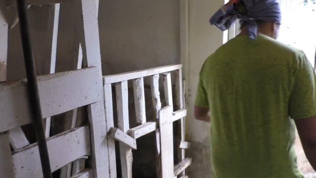 Благоустройство коровника. Вентиляция и слив в коровнике. Новости о Стрекозе смотреть онлайн