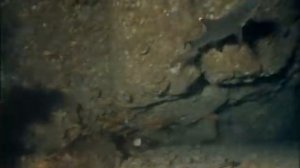 79 - Одиссея Жака Кусто - Акулы острова сокровищ