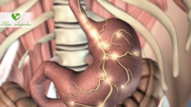 Врач обалдел! Вчера смешал яблоко и морковку в одном стакане и вот что произошло с моим телом смотреть онлайн