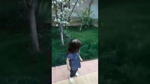 Пожелания от Дочек 4 апреля 2022 год смотреть онлайн