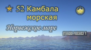 ✮ Норвежское море ✮ Камбала морская ✮