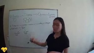 Биология. Основы анатомии и физиологии человека