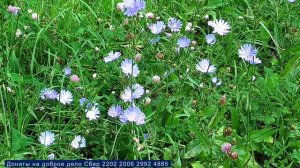 На развитие Божественных способностей Для женщин