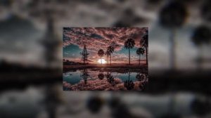mr lambo - mango