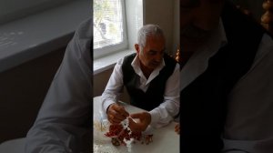 Семена стрелиции. Подготовка семян к посадке .