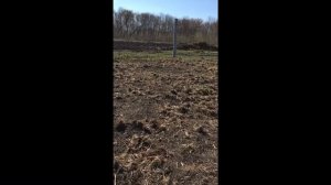 Мотоблок Патриот Урал- целина.