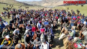 САМАРКАНД ПАЙАРИКДА КАТТА КУПКАРИ ХАММА МАШХУР ОТЛАР ШУ ЙИРДА