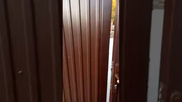 Откатные ворота и калитка из профнастила смотреть онлайн