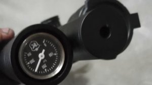 Крикет 5.5 мм Первое знакомство