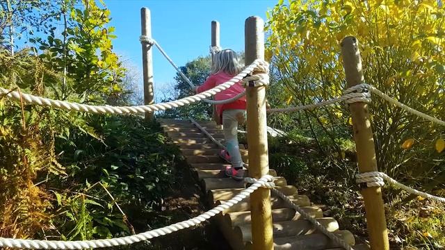 Dartmoor Zoo Review | Devon Tourist Attractions смотреть онлайн