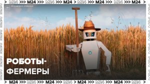 В Израиле начали разработку роботов-фермеров: "Техно" - Москва 24