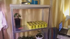 Стеллаж для рассады своими руками Часть 4