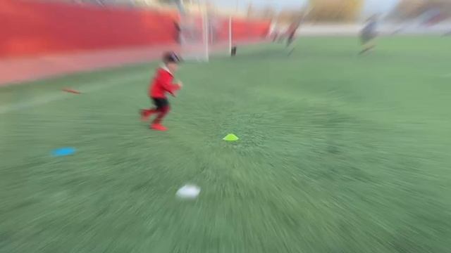 Video_Павлов Илья