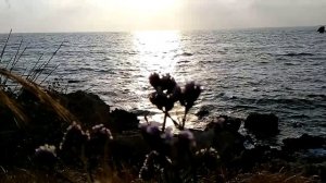 Кипр/ 10 дней на райском острове/Cynthiana Beach