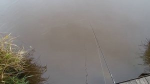 Обзор воблера TsyYoki  Astrolog 115SP