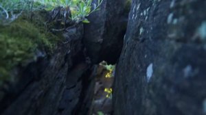 С высоты Бердянских скал. РЛП «Донецкий кряж»