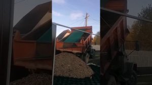 Парковка из Георешетки