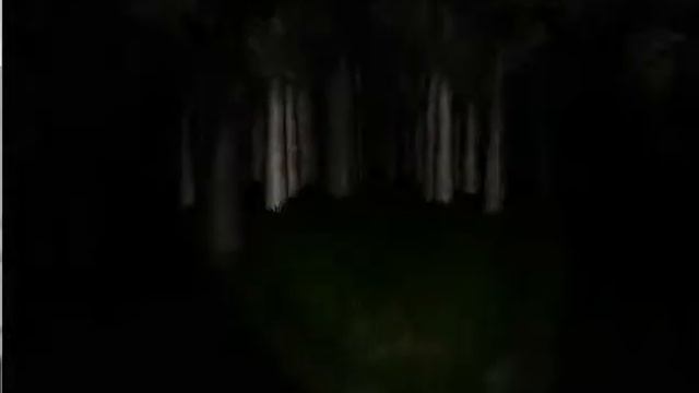 SlenderMan В ЖОПУ ДОМ В ЖОПУ СЛЕНДЕРА ПОЙДУ ТРАЛИТЬ ШКОЛЬНИКОВ