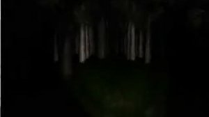 SlenderMan (В ЖОПУ ДОМ В ЖОПУ СЛЕНДЕРА ПОЙДУ ТРАЛИТЬ ШКОЛЬНИКОВ)