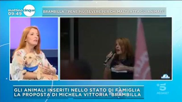 LA PROPOSTA DELL'ON.BRAMBILLA IN DISCUSSIONE ALLA CAMERA: ANIMALI NELLO STATO DI FAMIGLIA смотреть онлайн