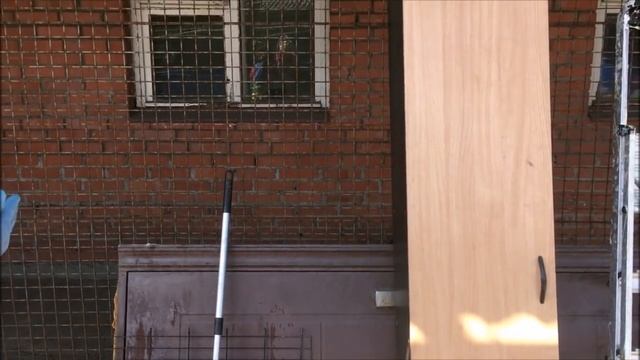 Визит в приют для бездомных животных "Ржевка" СПб смотреть онлайн