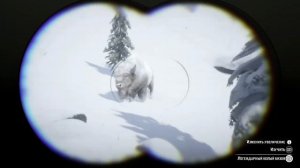 Охота на Легендарного белого бизона/Red dead redemption 2/