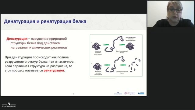 Химический состав организма: химические элементы, неорганические вещества, органические вещества
