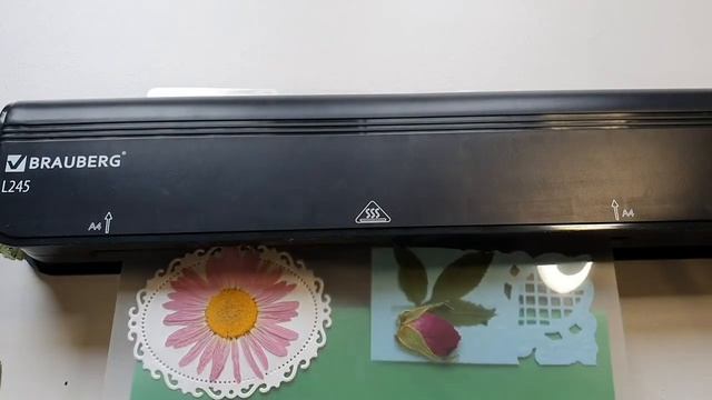 DIY / Закладка из сухоцветов своими руками / Рукоделки смотреть онлайн