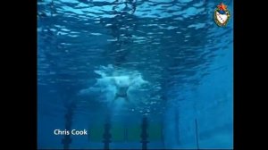 Техника плавания брассом. Демонстрируют легенды плавания