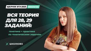 Вся теория для заданий 28 и 29: генетика + практика по генетическим задачам