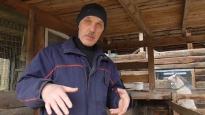 Я это сделал! Станок для дойки козы