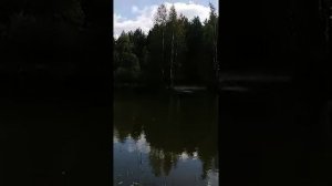 опасная молодёжь