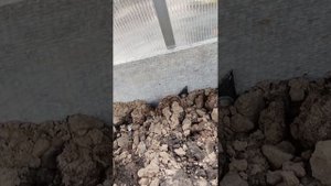 Как установить плоский шифер для грядок в теплице.