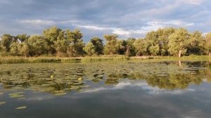 Озеро Большое Голое в п. Варварино (Хоперский заповедник)