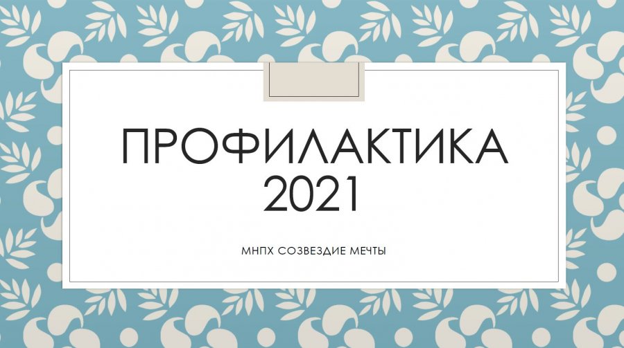 Профилактика 2021